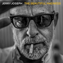 Picture of The Beautiful Madness  by Jerry Joseph