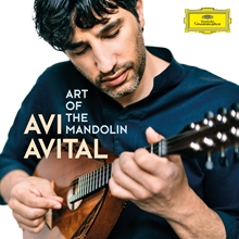 Picture of ART OF THE MANDOLIN  by AVITAL,AVI