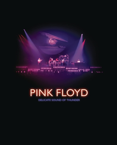 Picture of Delicate Sound Of Thunder - Restored, Re-Edited, Remixed by Pink Floyd