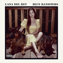 Picture of BLUE BANISTERS  by DEL REY,LANA