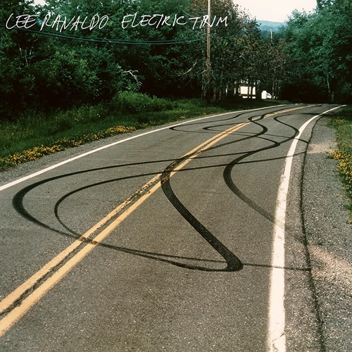 Picture of ELECTRIC TRIM (LP)  by LEE RANALDO