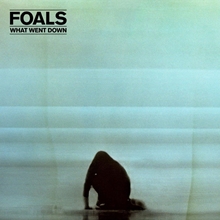 Picture of WHAT WENT DOWN (180 GRAM VINYL  by FOALS