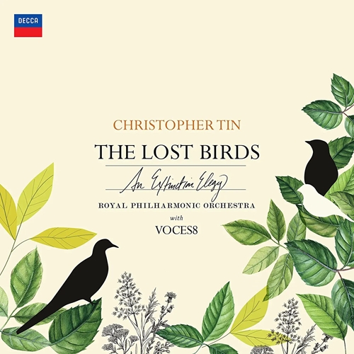 Picture of LOST BIRDS,THE  by TIN,CHRISTOPHER