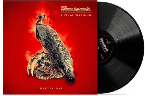 Picture of A Final Warning - Chapter One (Gtf 10" - Black)