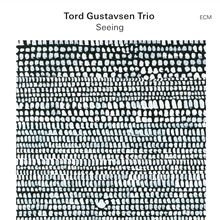 Picture of SEEING (CD)  by TORD TRIO GUSTAVSEN