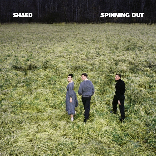 Picture of Spinning Out (LP)  by SHAED