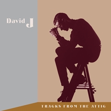 Picture of Tracks From The Attic (Triple Vinyl (Brown Opaque) + 3cd + Ddc) (LP)  by David J.