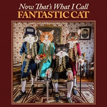 Picture of Now That's What I Call Fantastic Cat (LP)  by Fantastic Cat