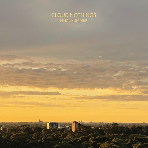 Picture of Final Summer (Marbled Amethyst Vinyl) (LP)  by Cloud Nothings