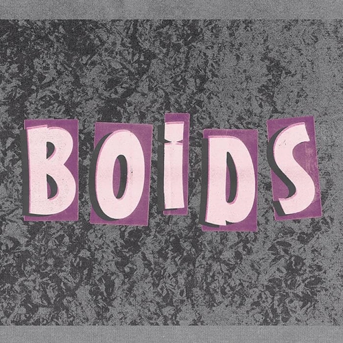 Picture of BOIDS (LP)  by BOIDS