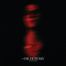 Picture of The Dichotomy (Indie Exclusive LP)  by David Kushner