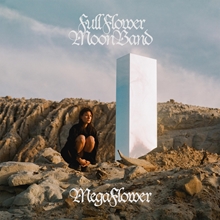 Picture of Megaflower (LP)  by Full Flower Moon Band