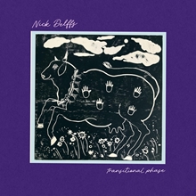 Picture of Transitional Phase (Ltd. Lp Cut At 45 Rpm For Optimum Fidelity) (LP)  by Nick Delffs