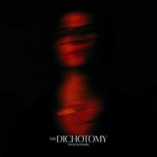 Picture of DICHOTOMY, THE (2LP)  by DAVID KUSHNER