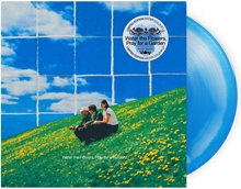 Picture of WATER THE FLOWERS, PRAY FOR A GARDEN (LP)  by VALLEY