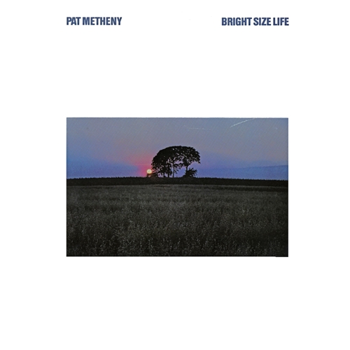 Picture of BRIGHT SIZE LIFE (LP)  by PAT METHENY