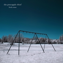 Picture of Little Man (LP)  by The Pineapple Thief