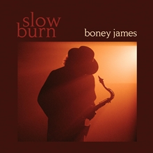 Picture of SLOW BURN (LP)  by BONEY JAMES