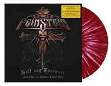 Picture of HAIL AND FAREWELL (LP)  by DAVID ROCK FEINSTEIN