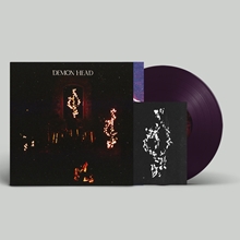 Picture of Through Holes Shine The Stars (Transparent Violet Vinyl) (LP)  by Demon Head