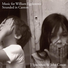 Picture of Music For William EgglestonS Stranded In Canton (LP)  by J Spaceman & John Coxon (Spiritualized)