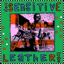 Picture of Leather Trim (LP)  by Dom Sensitive