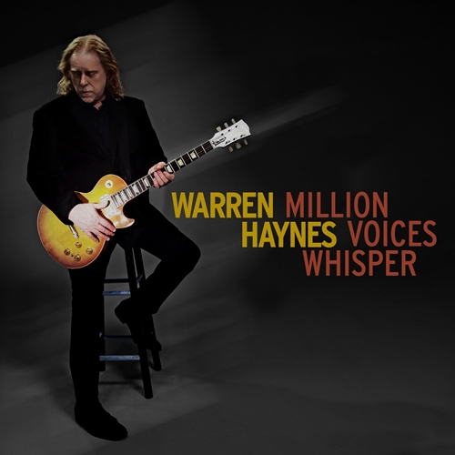 Picture of MILLION VOICES WHISPER (2LP)  by WARREN HAYNES