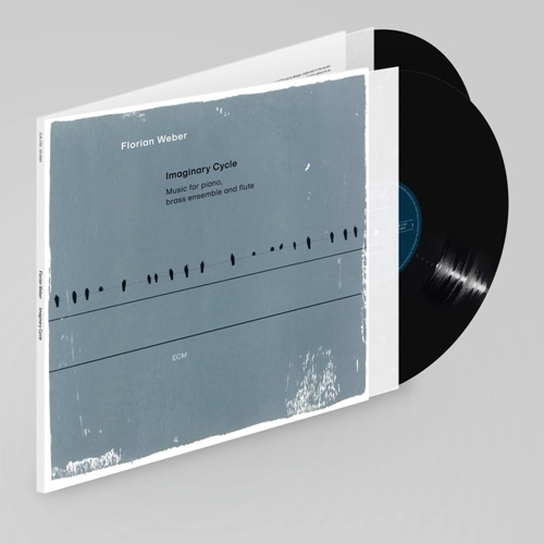 Picture of IMAGINARY CYCLE(2LP)  by FLORIAN WEBER