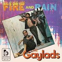 Picture of Fire And Rain (Coloured Vinyl) (LP) by The Gaylads