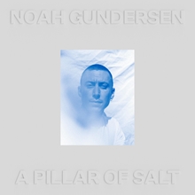 Picture of A Pillar Of Salt (White Vinyl) (Indie Exclusive)  by Noah Gundersen