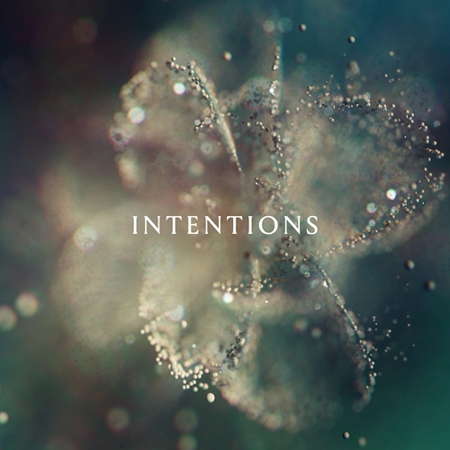 Picture of INTENTIONS(2LP)  by ANNA