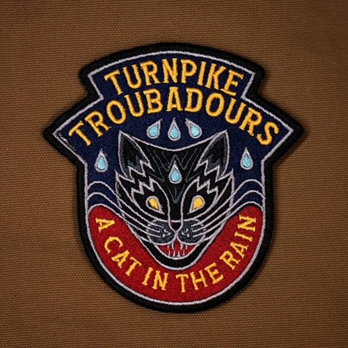 Picture of A Cat In The Rain  by Turnpike Troubadours