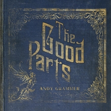 Picture of THE GOOD PARTS (LP)  by ANDY GRAMMER