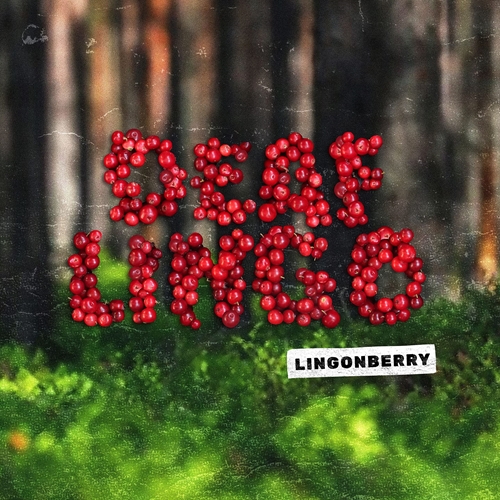 Picture of Lingonberry (Transparent Red Vinyl)