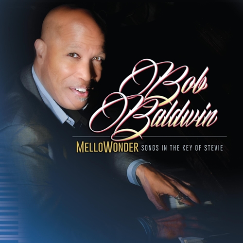 Picture of Mellowonder- Songs In The Key Of Stevie (LP)  by Bob Baldwin