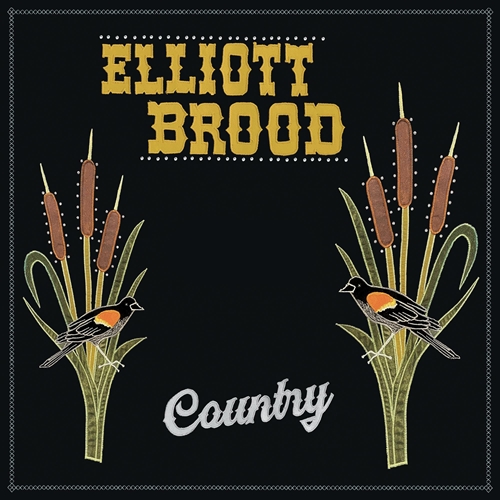 Picture of Country (LP)  by Elliott Brood