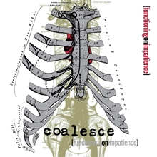 Picture of Functioning On Impatience (White With Splatter Edition) (LP)  by Coalesce