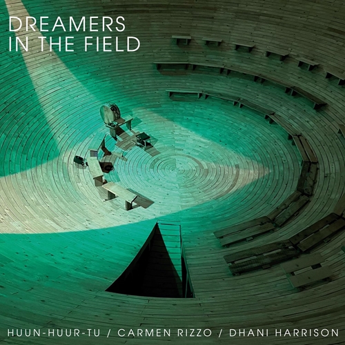 Picture of Dreamers In The Field (RSD24 EX)(LP)  by Carmen Rizzo & Dhani Harrison Huun-Huur-Tu