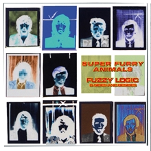 Picture of Fuzzy Logic (B-Sides & Besides) [RSD24 EX](Colour Vinyl)(LP)  by Super Furry Animals