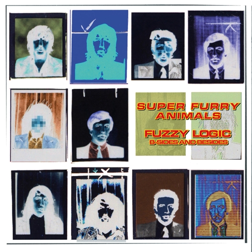 Picture of Fuzzy Logic (B-Sides & Besides) [RSD24 EX](Colour Vinyl)(LP)  by Super Furry Animals