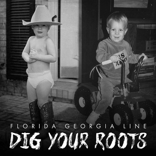 Picture of DIG YOUR ROOTS(LP)  by FLORIDA GEORGIA LINE