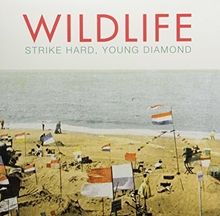 Picture of STRIKE HARD YOUNG DAIMO(LP  by WILDLIFE