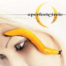 Picture of THIRTEENTH STEP (VINYL)  by A PERFECT CIRCLE