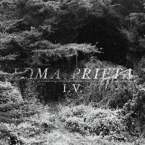 Picture of I.V.  by Loma Prieta