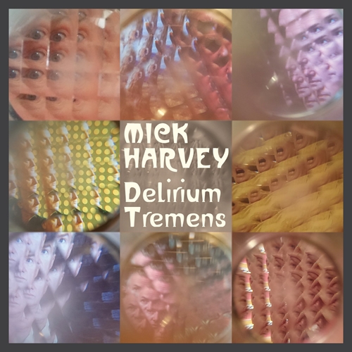 Picture of DELIRIUM TREMENS (LP)  by MICK HARVEY