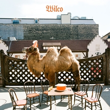 Picture of WILCO (THE ALBUM) - LP+CD  by WILCO