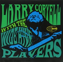 Picture of Larry Coryell with The Wide Hive Players