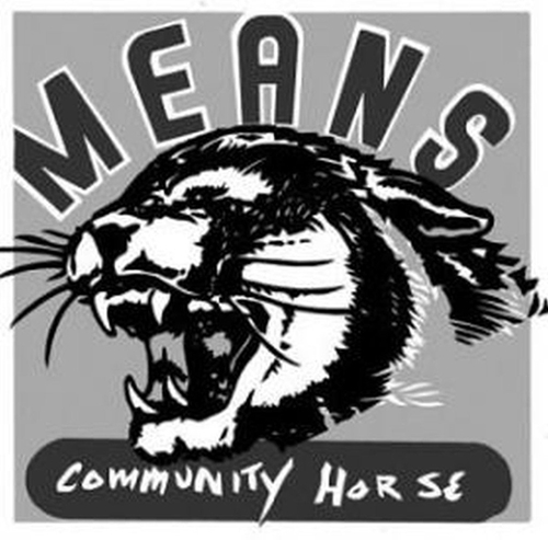 Picture of Community Horse