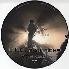 Picture of GHLOIR AR AN OICHE (LTD PICTURE DISC)