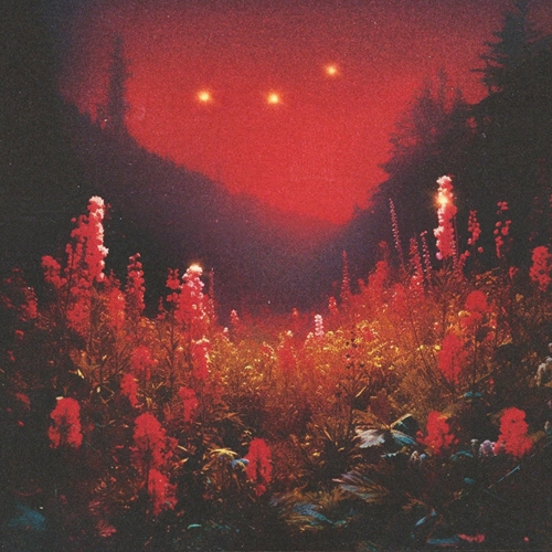 Picture of Superbloom (LP)  by Silent Planet